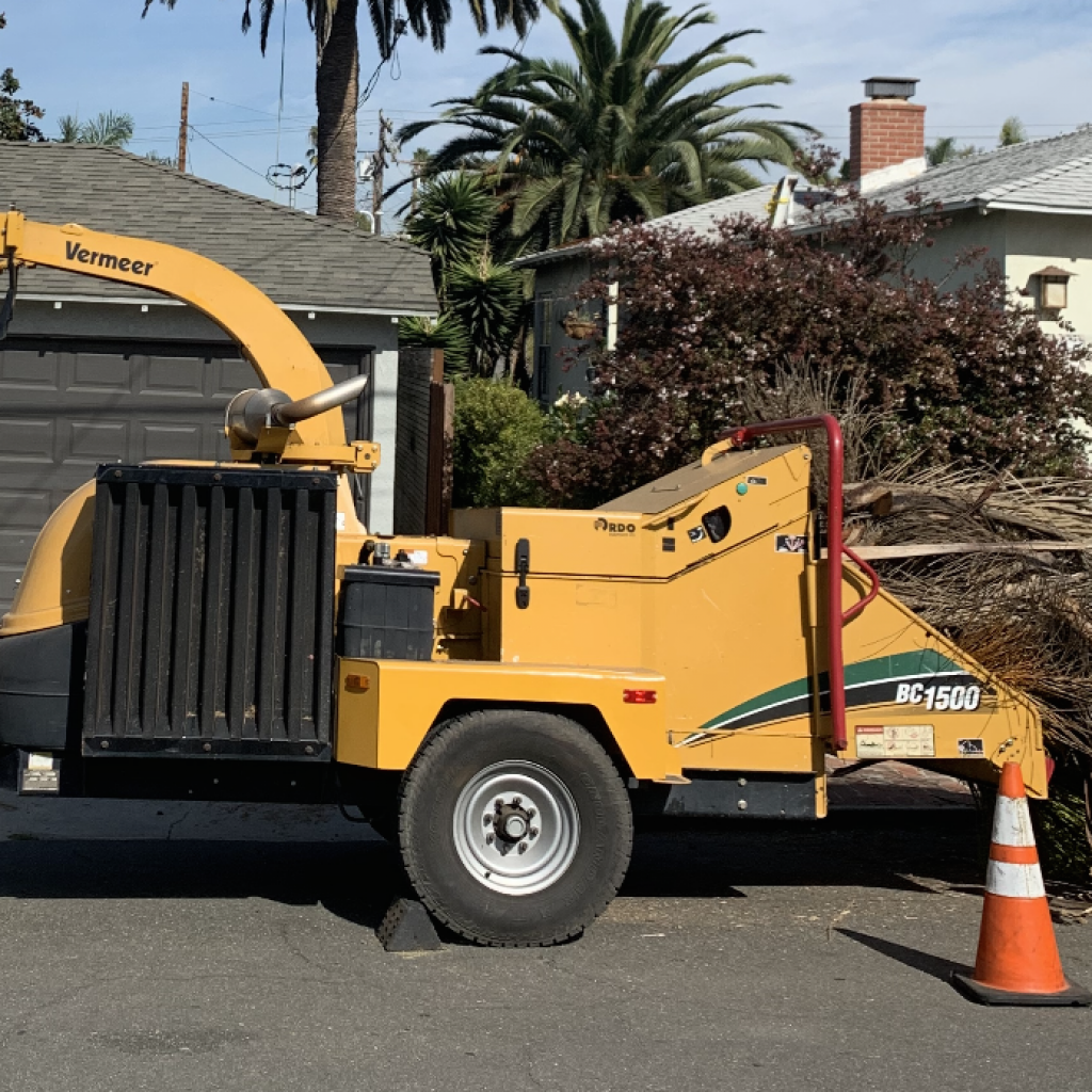 Stump Removal