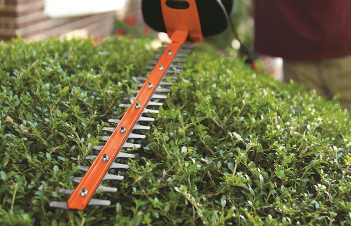 Hedges