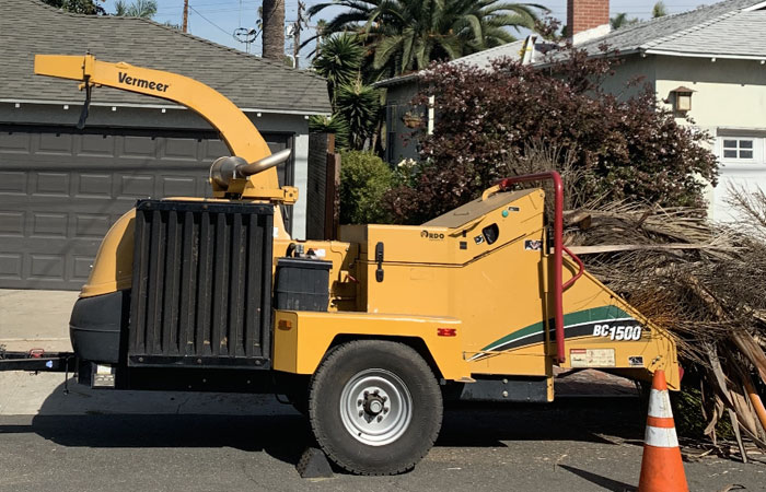 Stump Removal